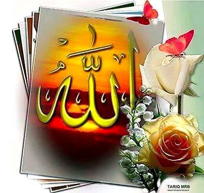 Islamic Quotes image