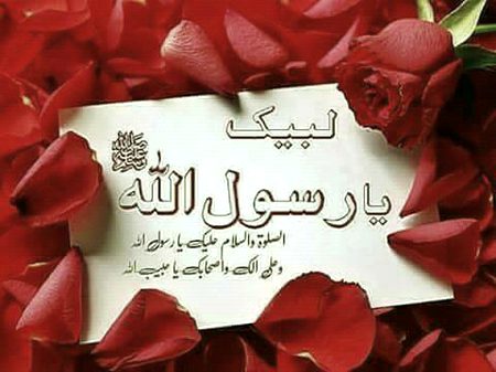 Islamic Quotes image