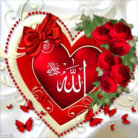 Islamic Quotes image