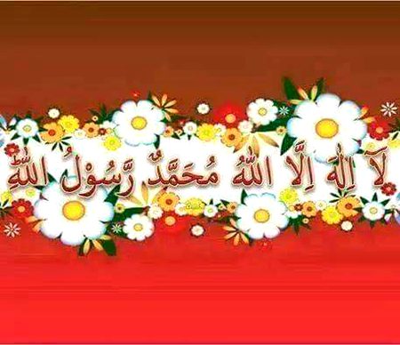 Islamic Quotes image