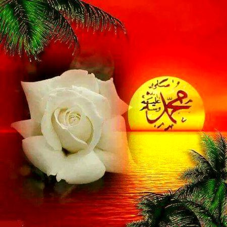 Islamic Quotes image