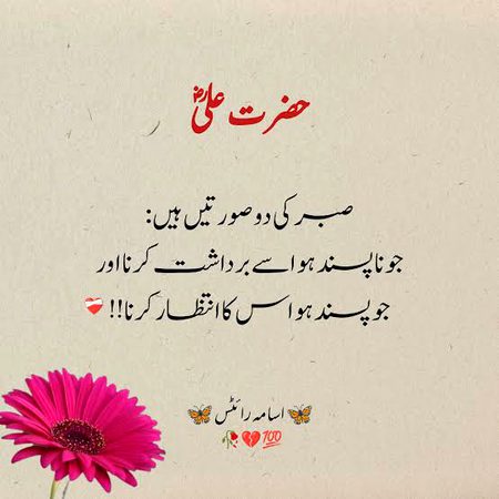 Islamic Quotes image