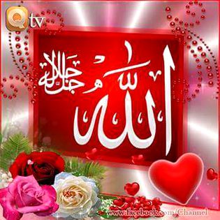 Islamic Quotes image