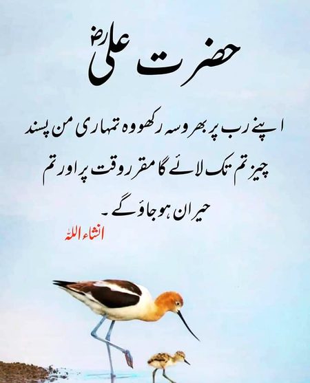Islamic Quotes image