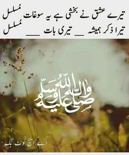 Islamic Quotes image