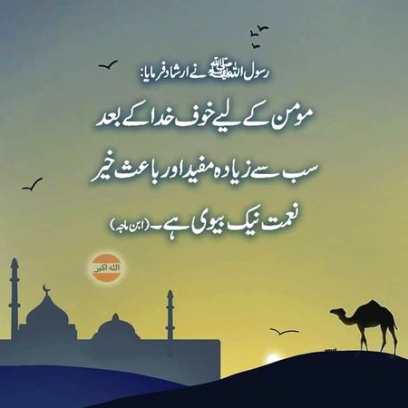 Islamic Quotes image