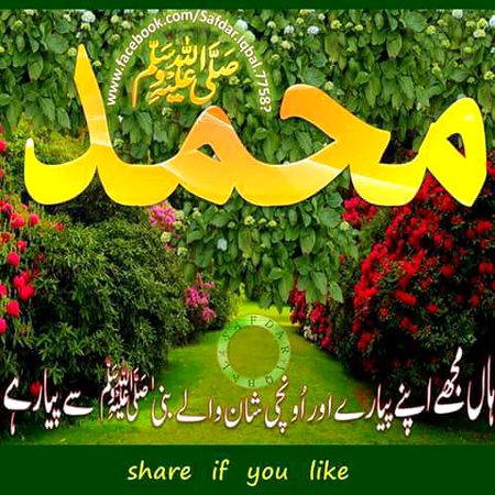 Islamic Quotes image