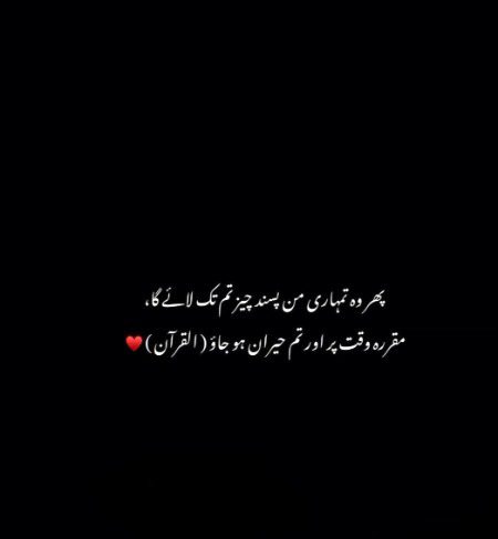 Islamic Quotes image