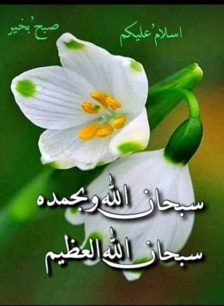 Jumma mubarak