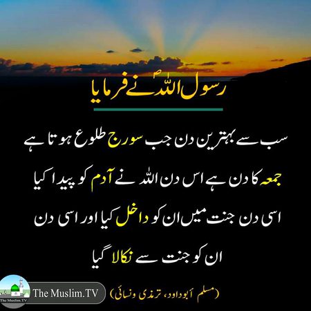 Islamic Quotes image