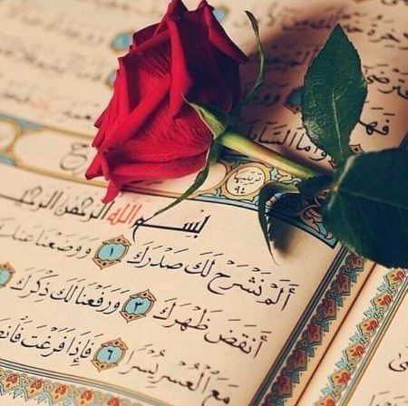 Islamic Quotes image