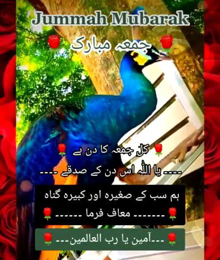 Jumma mubarak