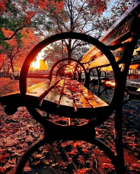 Beautiful Nature image