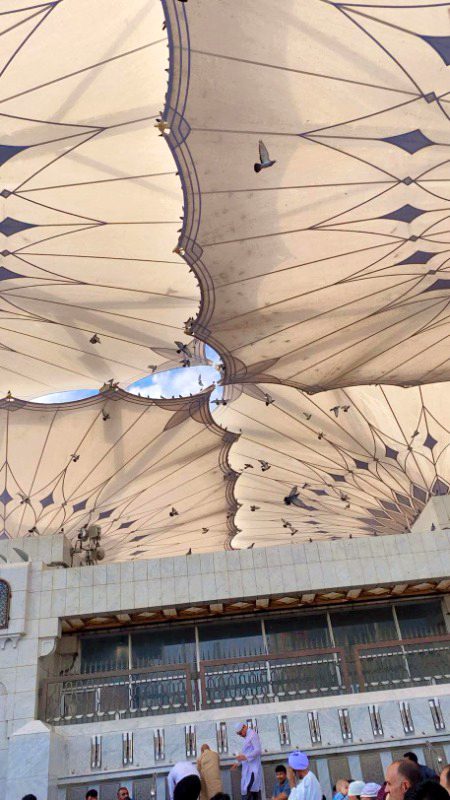 Beautiful Structures image