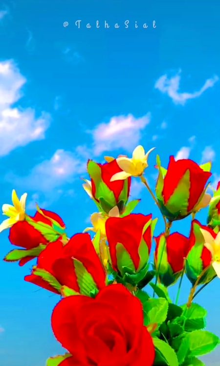 Beautiful Nature image