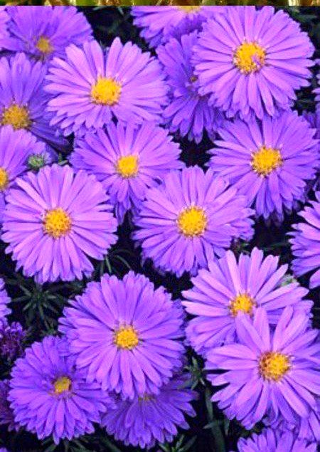 Beautiful Nature image