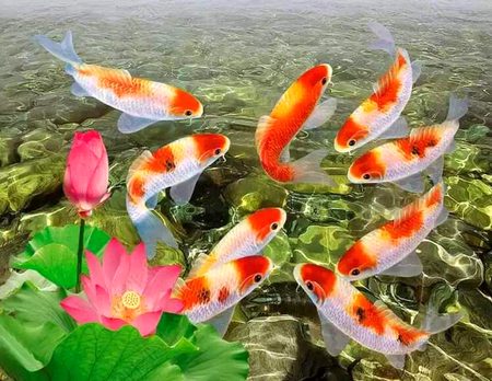 Beautiful Nature image