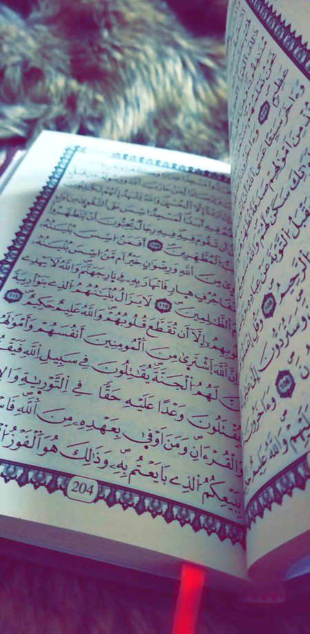 Islamic Quotes image