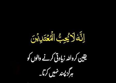 Islamic Quotes image