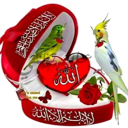 Islamic Quotes image