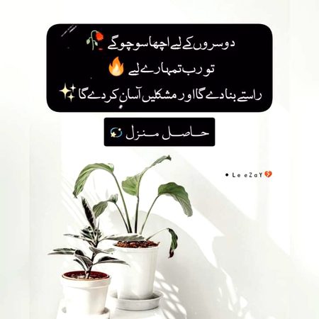 Life Advice image