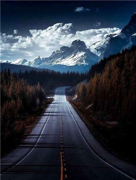 Beautiful Nature image