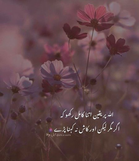 Islamic Quotes image