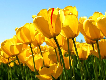 Beautiful Nature image