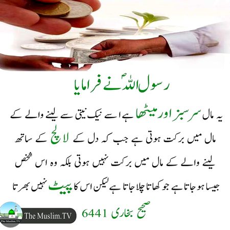 Islamic Quotes image