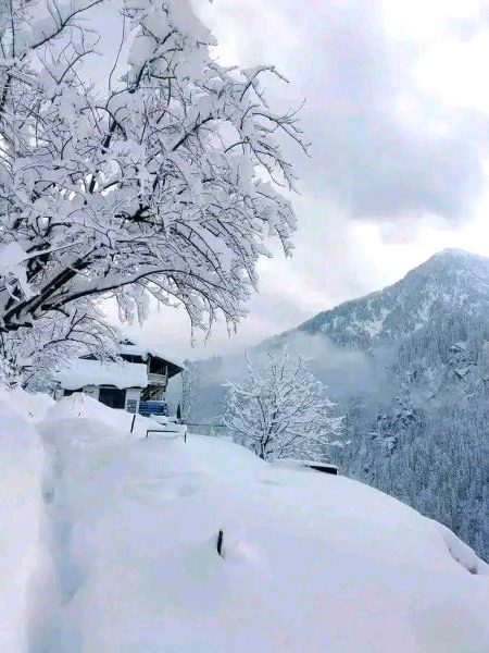 Beautiful Nature image