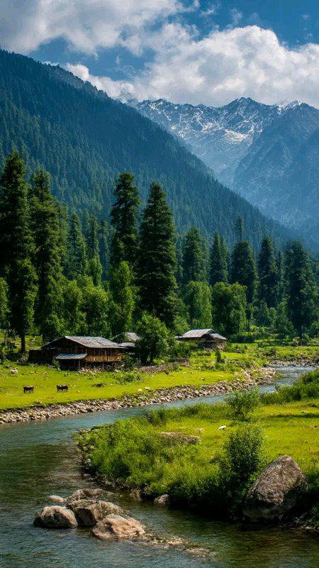 Beautiful Nature image