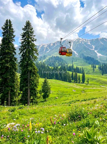 Beautiful Nature image