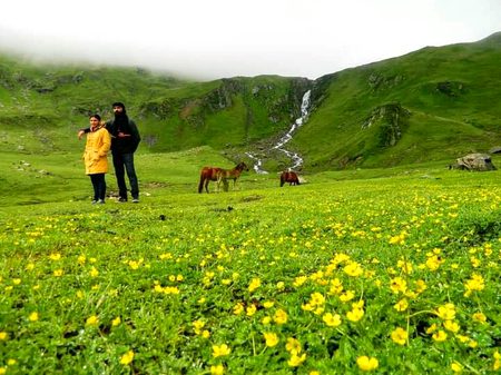 Kashmir
