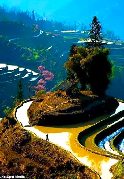 Beautiful Nature image