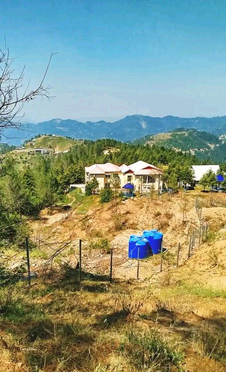 Beautiful Nature image