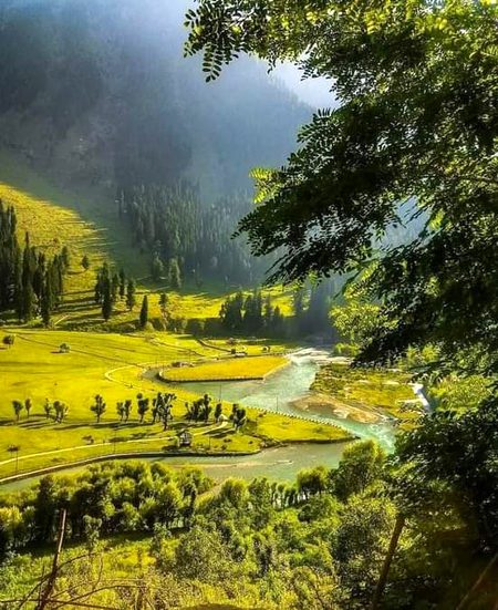 Kashmir