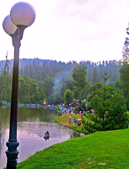 Beautiful Nature image