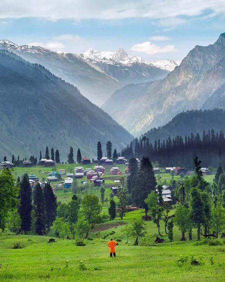 Beautiful Nature image