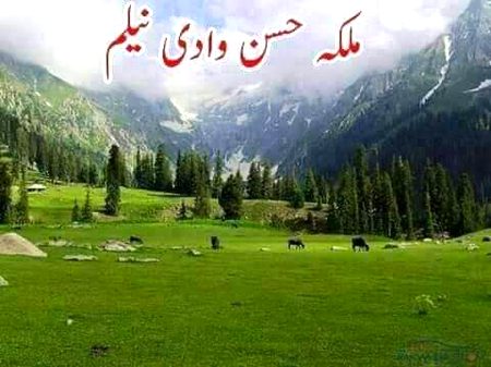 Kashmir