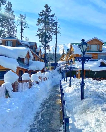 Beautiful Nature image