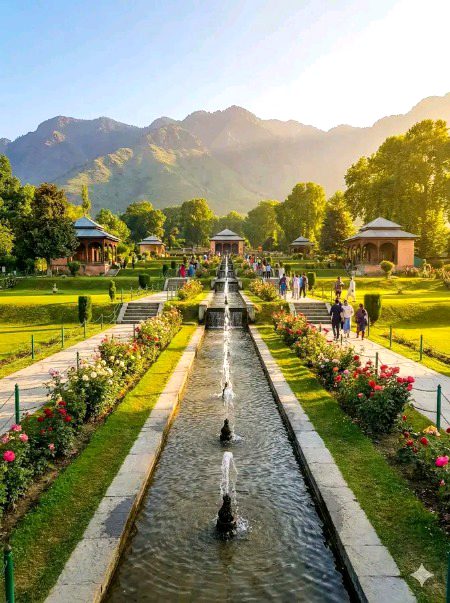 Beautiful Nature image