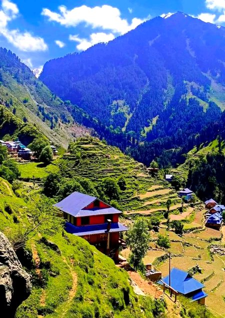 Beautiful Nature image