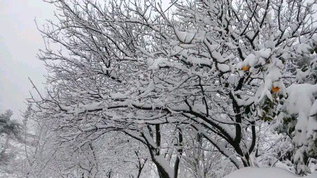 Beautiful Nature image