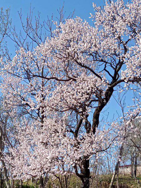 Beautiful Nature image