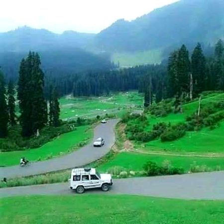 Beautiful Nature image
