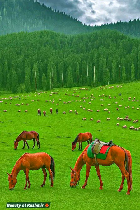 Beautiful Nature image