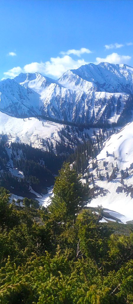 Beautiful Nature image