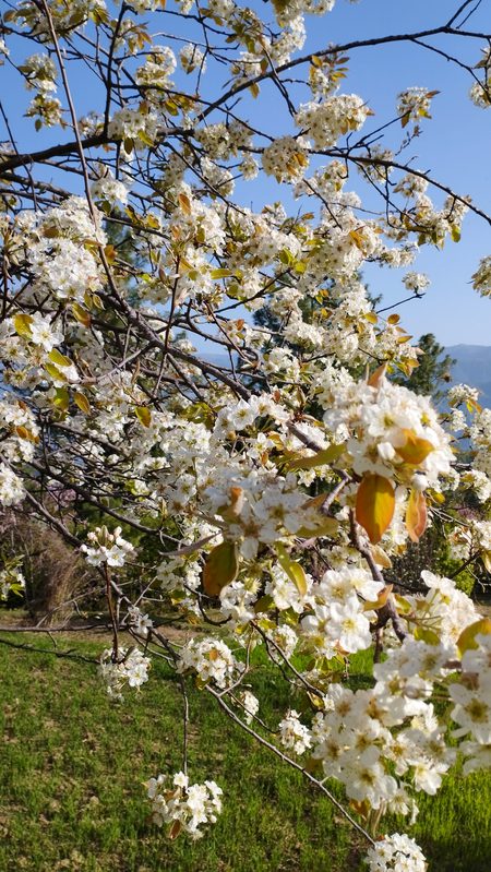 Beautiful Nature image
