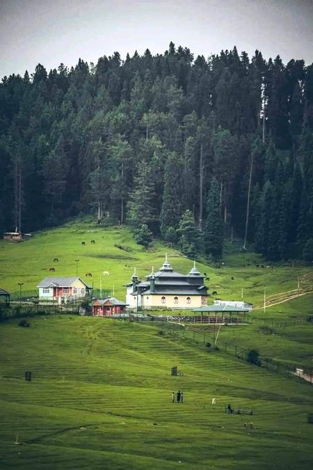 Beautiful Nature image