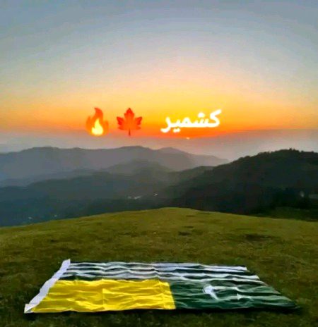 Beautiful Nature image